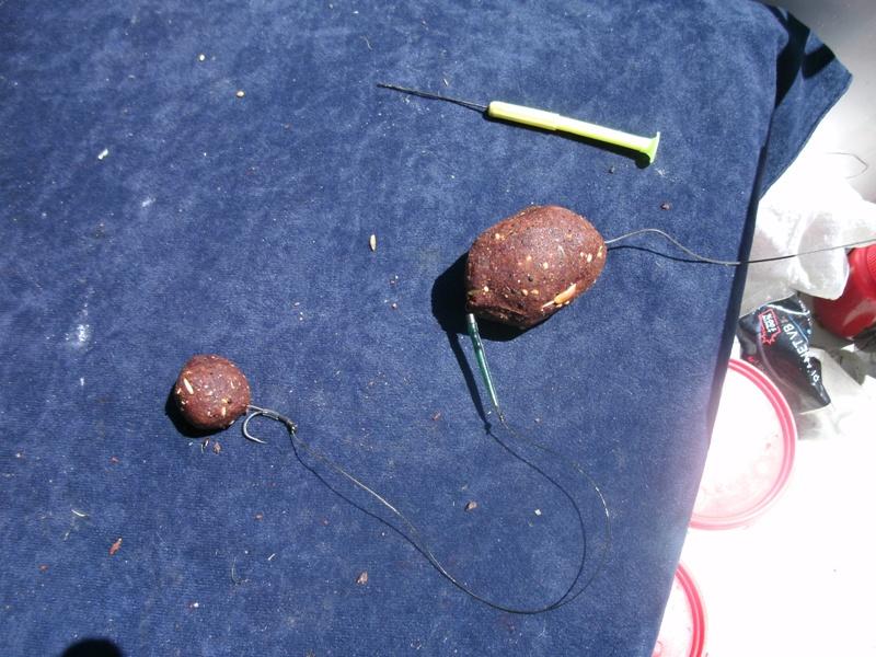 Delta iunie 2013 - gedc0299.JPG